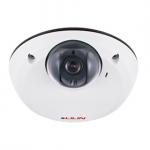1080P高畫質球型監視器網路攝影機型號：IPD2220-IVS